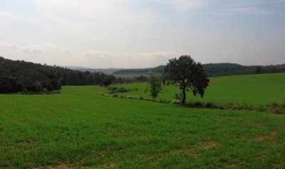 Recorrent el terme de Piera pel camí Romeu