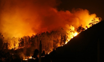 Prevenció d'incendis