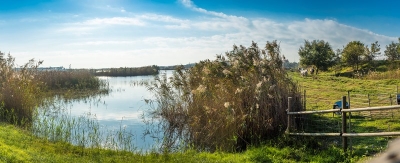 Sortida al Delta del Llobregat