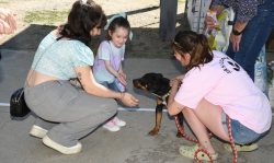 Fira de l'Adopció Animal