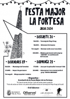 Cartell Festa de la Fortesa